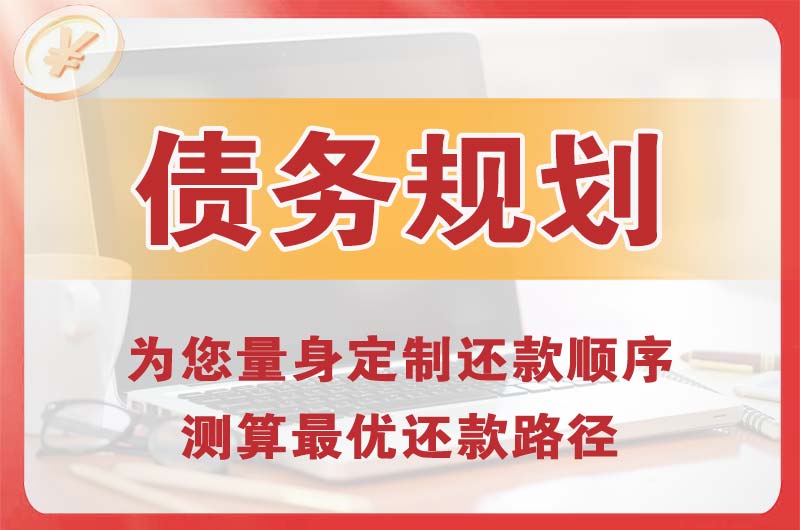 泾县债务规划